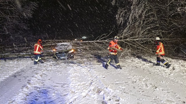 DSCPDC_0001_BURST20200227212522588_COVER groß.jpg